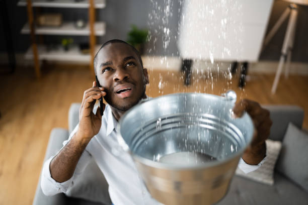 Best Carpet water damage restoration  in White Pigeon, MI