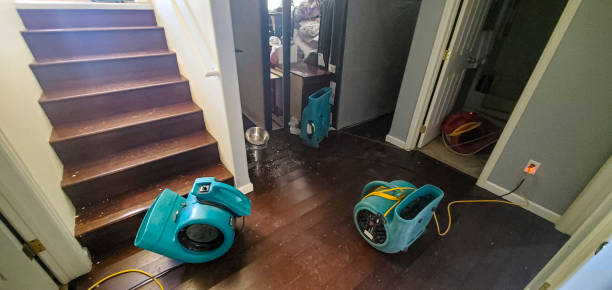 Best Sewage cleanup and water damage restoration  in White Pigeon, MI