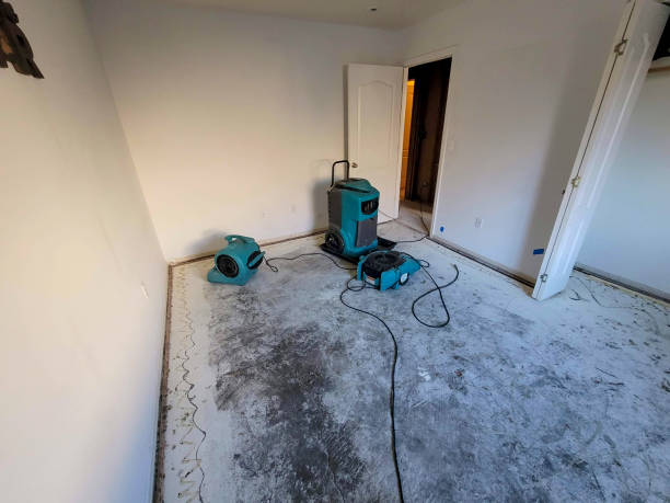 Best Fire Damage Restoration  in White Pigeon, MI