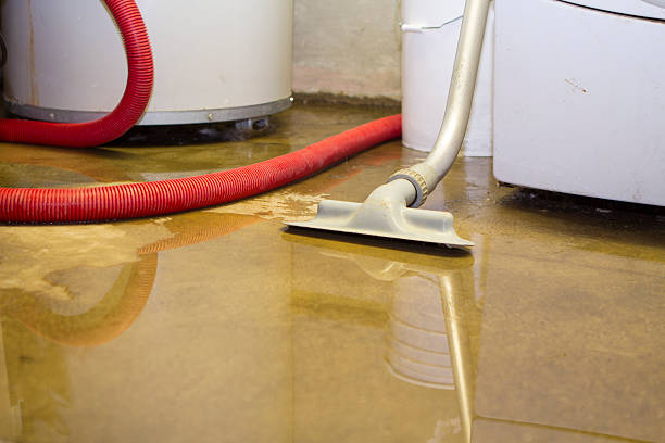 Best Water damage cleanup near me  in White Pigeon, MI