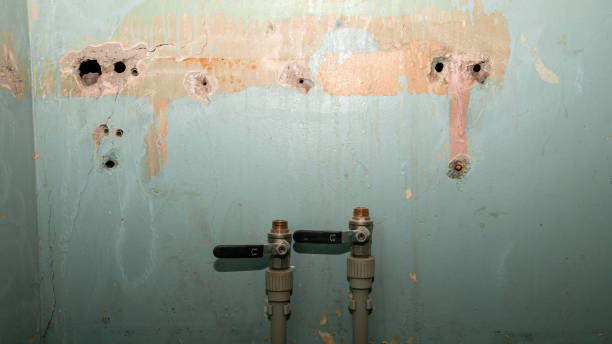 Best Professional water damage repair  in White Pigeon, MI