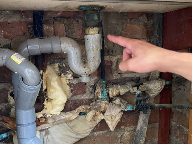Best Residential water damage restoration  in White Pigeon, MI
